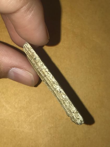 พระสมเด็จวัดระฆัง พิมพ์ใหญ่ เนื้อหนึกเนียน ผิวพรรณขององค์พระเปิดทั้งด้านหน้าและด้านหลัง เห็นพื้นผิว มวลสาร พื้นผิวพระต้องปรากฏรอยยุบ รอยหดตั รูปที่ 4