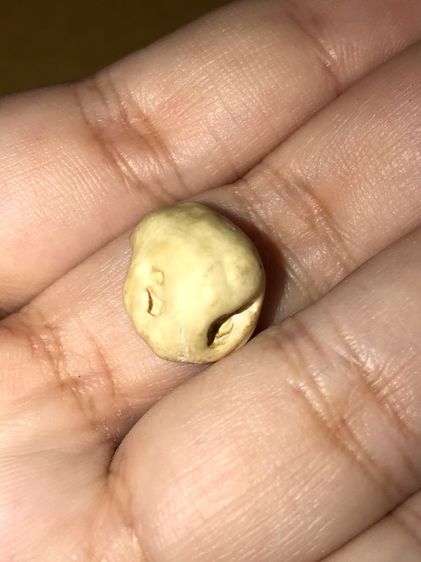 คต Rช้าง ผิวสีน้ำผึ้ง Rช่ำ ขนาดเล็ก กลมมน สภาพสวย สมบูรณ์ อย่างสวย เก่า แท้ แปลก หายาก สามารถนำไปเลี่ยมห้อยคอได้ อย่างสวย พุทธคุณเมตตาโชคลาภ รูปที่ 7