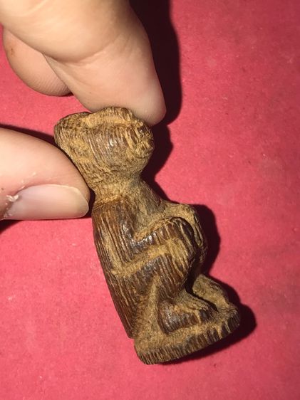 ลิง หลวงพ่อดิ่ง วัดบางวัว จ.ฉะเชิงเทรา เนื้อรากไม้ ต้นชัยพฤกษ์ ตายพราย เหี่ยวย่น หดตัว ขึ้นคราบขาว ไม่มีเสี้ยน น้ำหนักเบา ขนาดความสูง 4 ซม.  รูปที่ 3