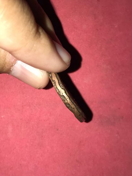 เหรียญกลม หลังยันต์ หูปลิง  มะอะอุ No2.หลวงพ่อไปล่ วัดกำแพง รุ่นแรก ปี 2472 พิมพ์มาฆบูชา เนื้อฝาบาตร สภาพสวยมาก แท้ดูง่าย เก่า เดิมๆ แปลก สร รูปที่ 3