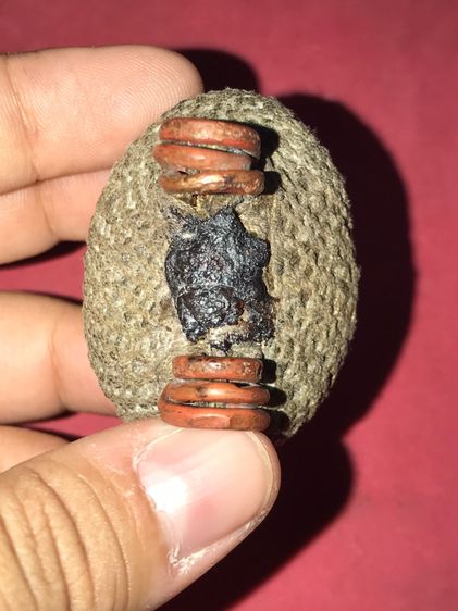 เบี้ยแก้ หลวงปู่เพิ่ม วัดกลางบางแก้ว ถักเชือกปอ อุดชันโรง 2 จุด หูทองแดงทุบ ข้างละ 3 หู สีน้ำตาล ขนาดใหญ่ มีน้ำหนัก ปรอทไม่ตาย มีความเป็นธรร รูปที่ 5