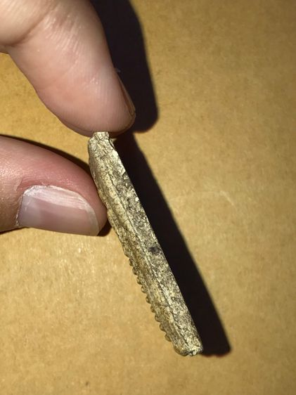 พระสมเด็จวัดเกศไชโย พิมพ์ 9 ชั้น เนื้อผงพุทธคุณ ออกสีน้ำตาลอ้อย รอยพรุนรูเข็ม ธรรมชาติ ของบ่อน้ำตาหรือหลุม ผิวพรรณแห้ง มิติพิมพ์ทรงลึก คมชัด รูปที่ 4