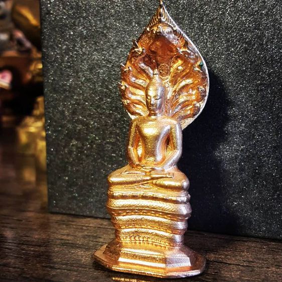 พระนาคปรก รูปที่ 15