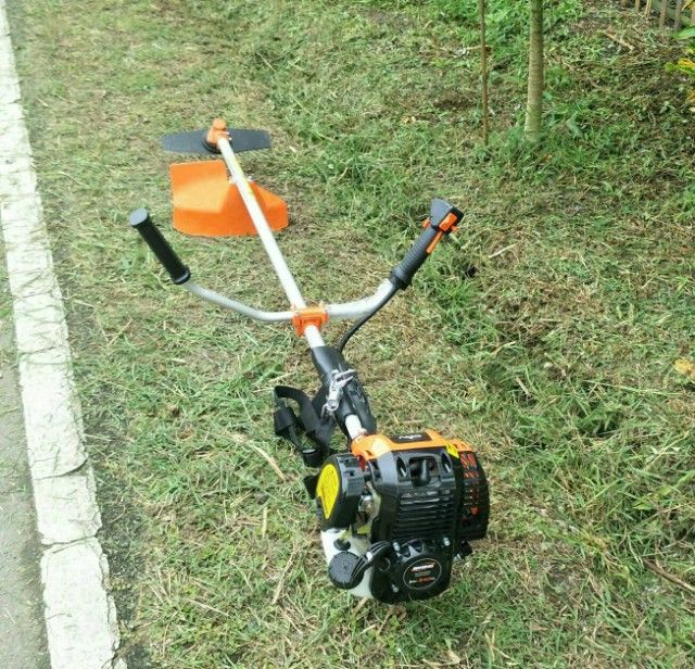 รับตัดหญ้า ตัดแต่งต้นไม้ กิ่งไม้  รูปที่ 7