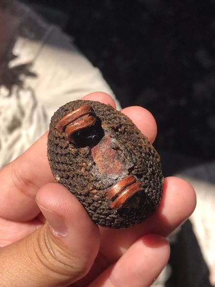 เบี้ยแก้ ฝังหนังเสือ หลวงปู่เพิ่ม วัดกลางบางแก้ว ถักเชือกปอ หูทองแดงทุบ ข้างละ 2 หู สีน้ำตาล ขนาดใหญ่ มีน้ำหนัก ปรอทไม่ตาย มีความเป็นธรรมชาต