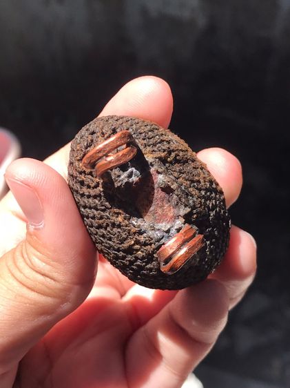 เบี้ยแก้ ฝังหนังเสือ หลวงปู่เพิ่ม วัดกลางบางแก้ว ถักเชือกปอ หูทองแดงทุบ ข้างละ 2 หู สีน้ำตาล ขนาดใหญ่ มีน้ำหนัก ปรอทไม่ตาย มีความเป็นธรรมชาต รูปที่ 11