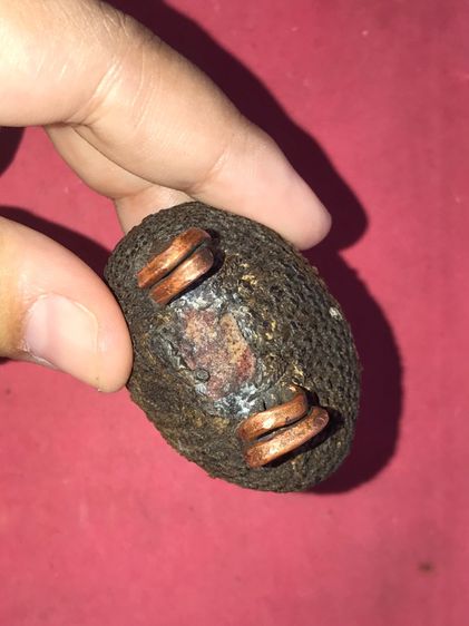 เบี้ยแก้ ฝังหนังเสือ หลวงปู่เพิ่ม วัดกลางบางแก้ว ถักเชือกปอ หูทองแดงทุบ ข้างละ 2 หู สีน้ำตาล ขนาดใหญ่ มีน้ำหนัก ปรอทไม่ตาย มีความเป็นธรรมชาต รูปที่ 7