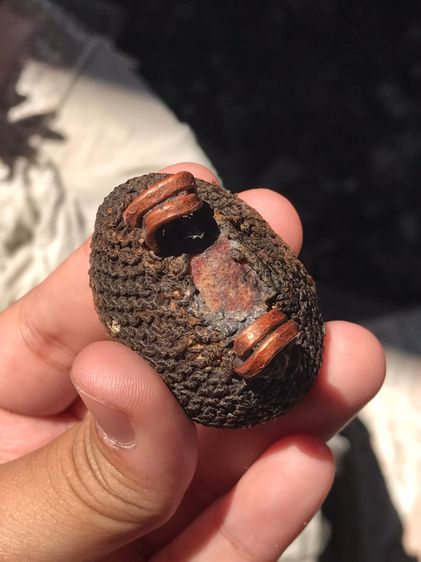 เบี้ยแก้ ฝังหนังเสือ หลวงปู่เพิ่ม วัดกลางบางแก้ว ถักเชือกปอ หูทองแดงทุบ ข้างละ 2 หู สีน้ำตาล ขนาดใหญ่ มีน้ำหนัก ปรอทไม่ตาย มีความเป็นธรรมชาต รูปที่ 5