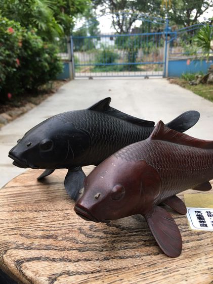 ปลาคราฟ Japanese Bronze Koi  รูปที่ 3