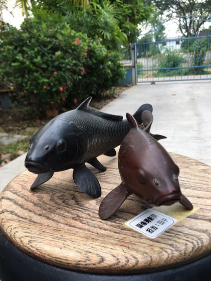 ปลาคราฟ Japanese Bronze Koi  รูปที่ 2