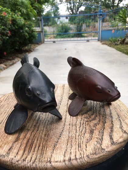 ปลาคราฟ Japanese Bronze Koi  รูปที่ 6