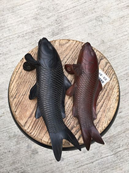 ปลาคราฟ Japanese Bronze Koi  รูปที่ 7