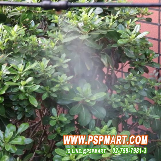 เครื่องชุดปั้มพ่นหมอก 220V พร้อมสายแรงดันความยาว 20 เมตร พร้อมชุดหัวพ่นหมอก จำนวน 10 ชุด รูปที่ 3