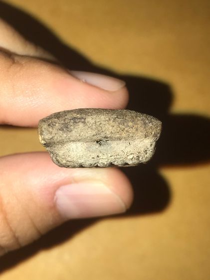 หลวงปู่ทวด เนื้อว่าน พิมพ์ใหญ่ลึก วัดช้างให้ ปี 2497 พิมพ์ถูก องค์นี้พระเต็มฟอร์ม ผิวเดิมๆ พระสวย สมบูรณ์ แท้ เก่า หายาก รูปที่ 5