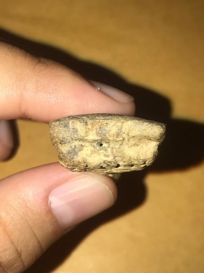 หลวงปู่ทวด วัดช้างไห้ เนื้อว่าน รุ่นแรก ปี2497 พิมพ์ใหญ่ พิมพ์ทรง ตำหนิพิมพ์ คม ลึก เนื้อหามวลสาร คราบไขว่าน ผิวพรรณเป็นธรรมชาติดั้งเดิม มวล รูปที่ 5