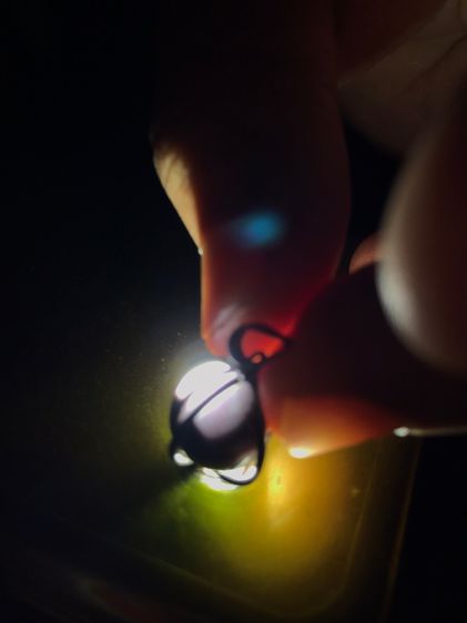 เพชรตางู เส้นผ่าศูนย์กลางประมาณ 1 ซม. รูปทรงกลมเหมือนดวงตา มีเส้นสังวาลย์ 3 สี คือสีดำ สีชมพู และสีขาวขุ่น ลักษณะดวงตาเป็นชั้นๆของวงสี ถ้าส่ รูปที่ 8