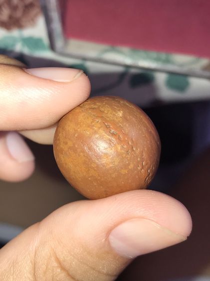 คตหิน รูปทรงลักษณะคล้ายดวงตา ตรงกลางกลมนูนเหมือนแก้วตา กลมเรียบ เนียนมือ แข็งเป็นหิน ผิวมัน ผิวออกสองสี สีน้ำตาลเข้ม ขนาดกำลังดี มีน้ำหนัก เ รูปที่ 7