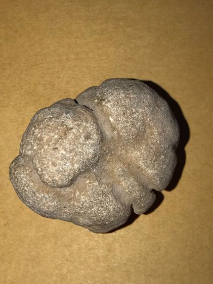 คตหิน รูปทรงกลมมน มีหยัก ทรงสวยมาก ขนาดเส้นผผ่าศูนย์กลางประมาณ 1.5 นิ้ว สีออกอมส้ม ผิวเรียบ มัน มีคราบเกาะติดแน่น มีน้ำหนัก เป็นธรรมชาติ จะม รูปที่ 2