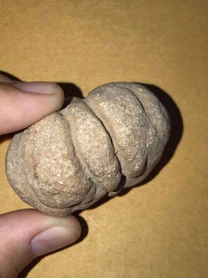 คตหิน รูปทรงกลมมน มีหยัก ทรงสวยมาก ขนาดเส้นผผ่าศูนย์กลางประมาณ 1.5 นิ้ว สีออกอมส้ม ผิวเรียบ มัน มีคราบเกาะติดแน่น มีน้ำหนัก เป็นธรรมชาติ จะม รูปที่ 11