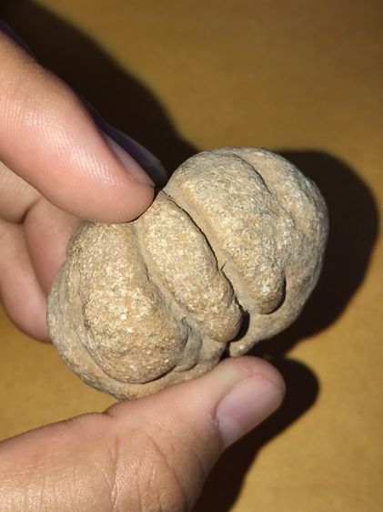 คตหิน รูปทรงกลมมน มีหยัก ทรงสวยมาก ขนาดเส้นผผ่าศูนย์กลางประมาณ 1.5 นิ้ว สีออกอมส้ม ผิวเรียบ มัน มีคราบเกาะติดแน่น มีน้ำหนัก เป็นธรรมชาติ จะม รูปที่ 4