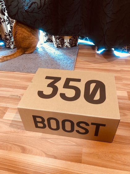 Yeezy Boost 350 V2 Mono Clay รูปที่ 9