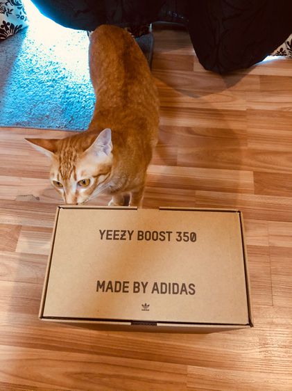 Yeezy Boost 350 V2 Mono Clay รูปที่ 8