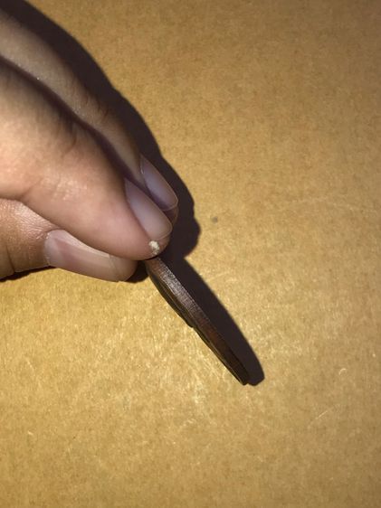 เหรียญหลวงพ่อแดง-หลวงพ่อเจริญ วัดเขาบันไดอิฐ จ.เพชรบุรี รุ่นโบสถ์ลั่น เนื้อทองแดง ปี 2513 สภาพสวย สมบูรณ์ ผิวเดิม แท้ ดูง่าย หายากมาก หลวงพ่ รูปที่ 4