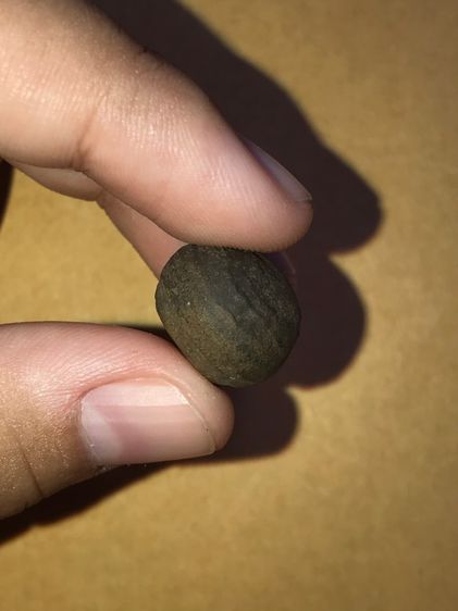 คตหิน รูปทรงลักษณะคล้ายดวงตา ตรงกลางกลมนูนเหมือนแก้วตา ทรงกลมมน ขนาดประมาณ 1 ซม. กลมเรียบ เนียนมือ แข็งเป็นหิน ผิวมัน ผิวออกสองสี สีน้ำตาลเข รูปที่ 7