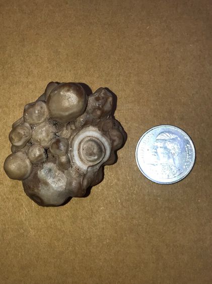 คตหินงอก ส่วนที่งอกทรงกลมมน สีขาวสลับสีน้ำตาล ลายเป็นธรรมชาติ ขนาดประมาณ 2 นิ้ว จะมีลักษณะเนื้อเนียน ระเอียด ทรงสวยมาก มันเงา เก่าจริง ไม่คม รูปที่ 9