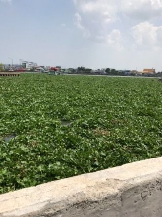 ทุ่นลอยน้ำ ทุ่นลอย ทุ่น 🅰️💯 มีรูตรงกลาง ขนาดยาว 7 นิ้ว (17 เซนติเมตร) รูปที่ 8