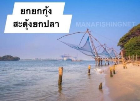 อุปกรณ์ตกปลา อุปกรณ์จับปลา จับกุ้ง และอุปกรณ์ประมงทุกชนิด รูปที่ 27