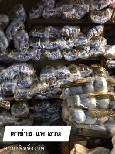📌ป้าย 100 เมตร ตาข่ายดักปลาราคาถูก ตาข่ายรุมข้าวบน มองใยบัว 📌 มีตา 5 6 7 8 9 10 11 12 เซ็น ให้เลือก รูปที่ 6