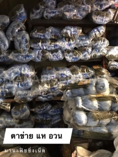 ตะข่าย มอง ดาง อวน ดักปลา 📌รุมเชือกบน ป้าย 100 เมตร 📌 มีตา 5 6 7 8 9 10 11 12 เซ็น ให้เลือก รูปที่ 4