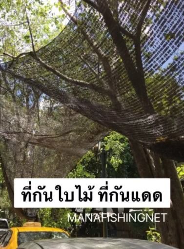 ที่กันแดด ที่กันใบไม้ล่วง  🅰️ ขนาด 2x2 เมตร รูปที่ 3