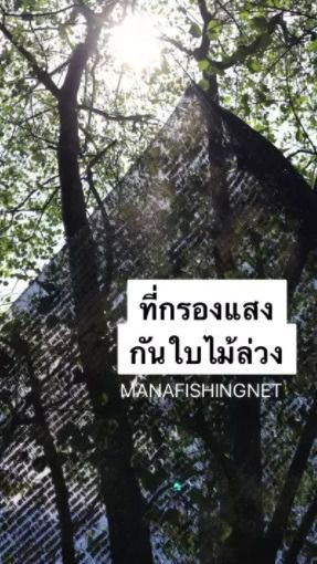 ที่กันแดด ที่กันใบไม้ล่วง  🅰️ ขนาด 2x2 เมตร รูปที่ 6