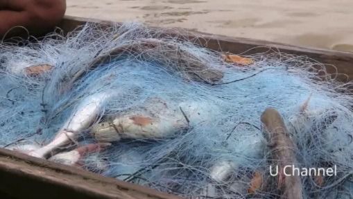 อวนปลาหมอเทศ อวนปลานิล ตะคัดดักปลา กัดดักปลา มองดักปลา รูปที่ 6