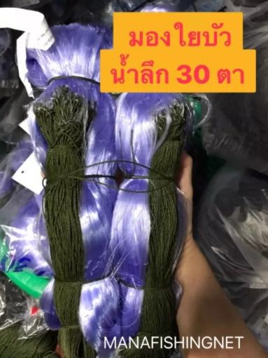 มองใยบัว ดักปลา น้ำลึก 30 ตา รุมเชือกบน ป้าย 200 เมตร 📌มีทุกขนาดตาให้เลือก รูปที่ 4
