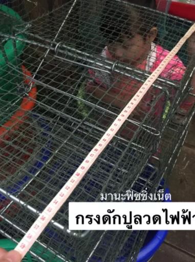 ที่ดักปู กรงปู รุ่นลวดไฟฟ้าป้องกันสนิม 🅰️ ใบใหญ่ ติดดีที่สุด ทนที่สุด รูปที่ 4