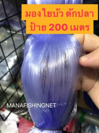 ตาข่ายดักปลา เอ็นใยบัว 🔺ตา 9  10  11  12 เซ็น ลึก 20 ตา ป้าย 200 เมตร รูปที่ 3