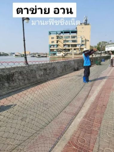 ตาข่ายอเนกประสงค์ Nylon Net 🅰️ ตาข่ายเชือก ตาข่ายเชือกไนลอน 📌 มี 2 ขนาดให้เลือก รูปที่ 2