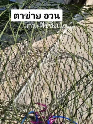 ตาข่ายอเนกประสงค์ Nylon Net 🅰️ ตาข่ายเชือก ตาข่ายเชือกไนลอน 📌 มี 2 ขนาดให้เลือก รูปที่ 4