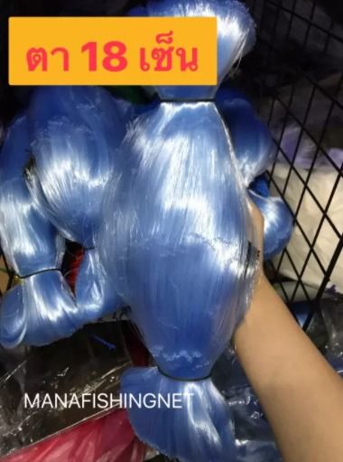 ข่ายดักปลา 📌 ตาใหญ่สุด 18 เซ็น มอง ด่าง ข่าย ลึก 20 ตา ป้าย 200 เมตร ดางดักปลา ข่ายดักปลาใหญ่ รูปที่ 4