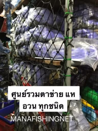 ตาข่ายดักปลา มองดักปลา มองปลิว รุมเชือกข้าวบน เอ็น 20 ลึก 20 ตา ป้ายยาว 200 เมตร 📌มีทุกขนาดตาให้เลือก อวนดักปลา อวนลอย รูปที่ 6