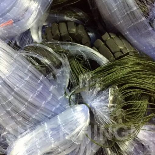 ตาข่ายดักปลา ตาถี่ 2.5 เซ็น ลึก 40 ตา ป้าย 75 เมตร 📌สำเร็จพร้อมใช้งาน รูปที่ 3