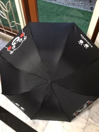 ร่มกันแดด ส่องไฟฉาย แสงไม่รอด รูปที่ 3