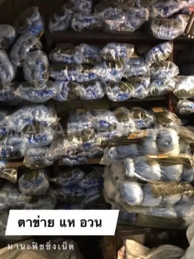 มองดักปลาน้ำโขง 📌9 เซ็นลึก 2.7 เมตร 10 เซ็นลึก 3 เมตร 12 เซ็นลึก 3.6 เมตร รูปที่ 6