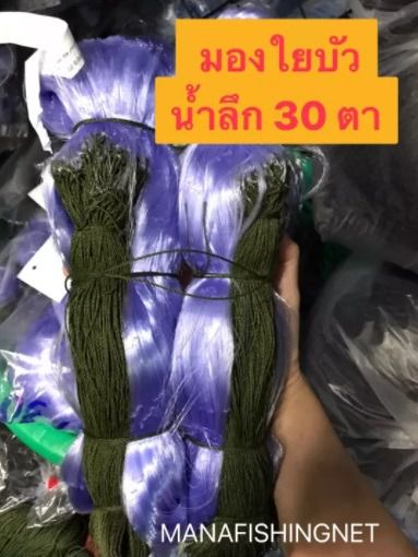 มองดักปลาน้ำโขง 📌9 เซ็นลึก 2.7 เมตร 10 เซ็นลึก 3 เมตร 12 เซ็นลึก 3.6 เมตร รูปที่ 7