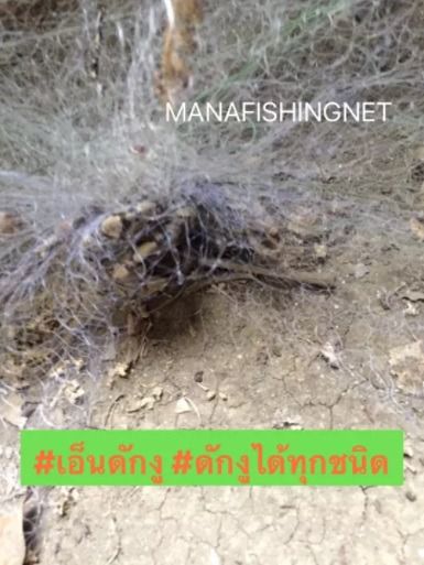 ตาข่ายป้องกันอันตราย จากสัตว์เลื้อยคลาน และสัตว์มีพิษ รูปที่ 2