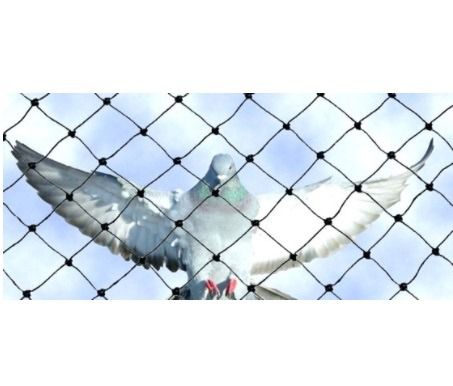 ตาข่ายกันนก ขนาดสูง 4 เมตร ยาว 14 เมตร รุ่น UV Protection รูปที่ 3