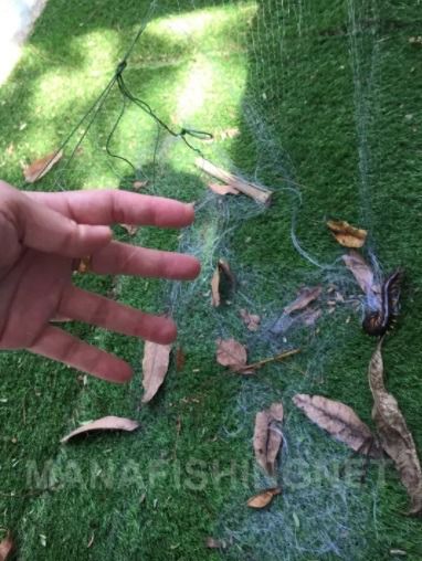ตาข่ายกันงู 🅰️ กันงู — ล้อมรั้ว ยาว 200 เมตร รูปที่ 8
